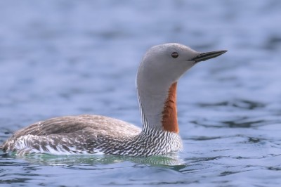 fot. Paweł Czapczyk
