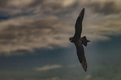 fot. Paweł Czapczyk