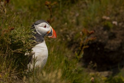 fot. Paweł Czapczyk