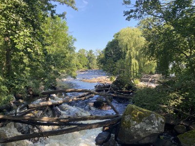 Morrum - rzeka łososiem słynąca (fot. Kamil Wereszczyński)