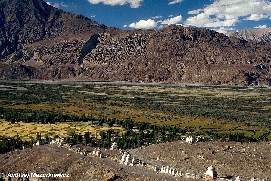 Pola w dolinie Nubry Pola w dolinie Nubry