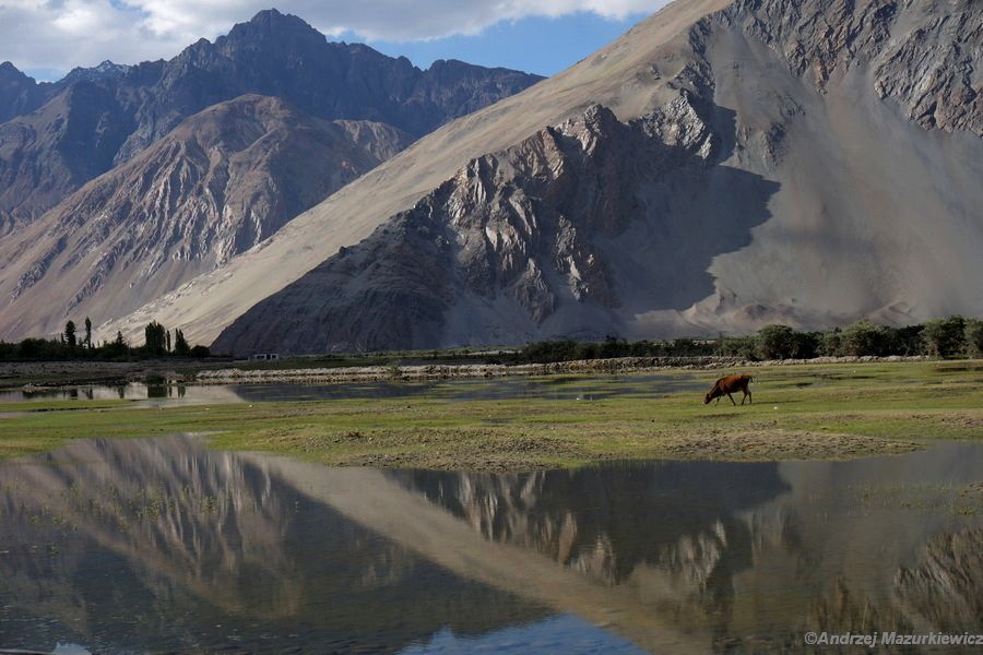 Krajobrazy w okolicach wioski Hunder w Nubrze Krajobrazy w okolicach wioski Hunder w Nubrze