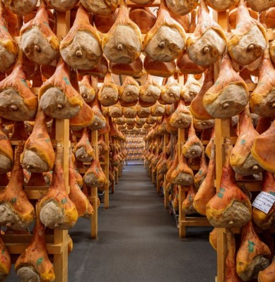 Dojrzewające szynki San Daniele (fot. Gianpaolo Scognamiglio)