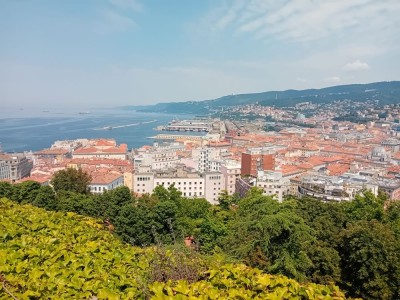 Panorama Triestu (fot. Agnieszka Fundowicz-Skrzyńska)