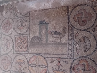 Mozaika w Akwilei (fot. Agnieszka Fundowicz-Skrzyńska)