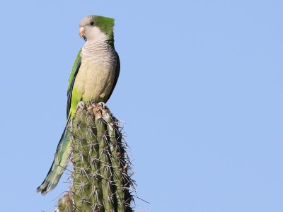 Mnicha fot. Hubert Stelmach