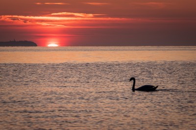 Zachód słońca (fot. S. Adamczak, okfoto.pl)