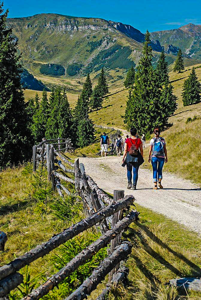 Na górskim szlaku (fot. Grzegorz Wieniawa-Chmielewski)