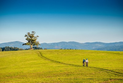 Turyści na Winnym Szlaku Moraw - visitczechia.com