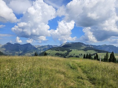 Widok na przełęcz Jaunpass (fot. Estera Motyl)