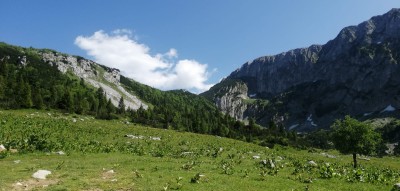 Skalna ściana Hajli (2401 n.p.m.). Widok od strony północnej - czarnogórskiej (fot. Adam Fijołek)