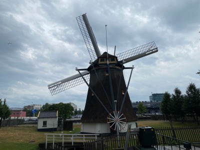 Wiatrak w Hadze - fot. Kamil Wereszczyński 