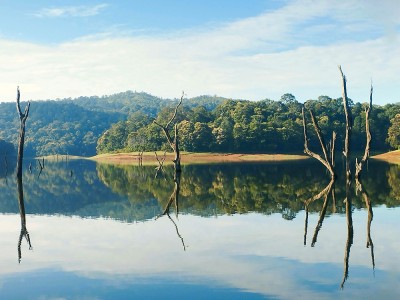 Park Narodowy Periyar