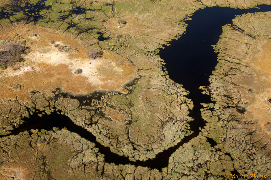Delta Okawango