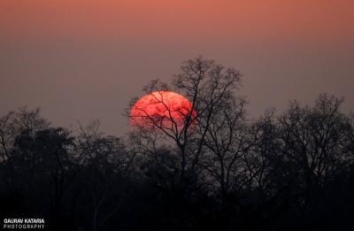 Wschód słońca nad Parkiem Narodowym Corbett Wschód słońca nad Parkiem Narodowym Corbett