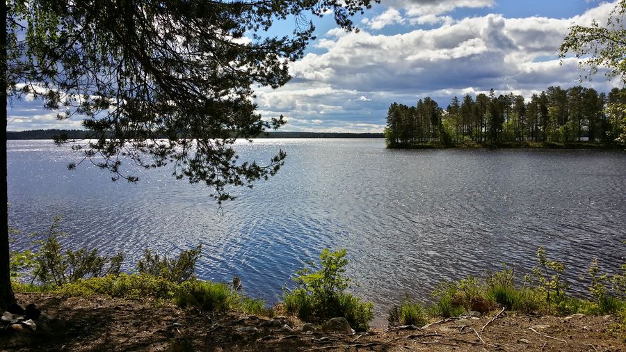 fot. Michał Przybysz fot. Michał Przybysz