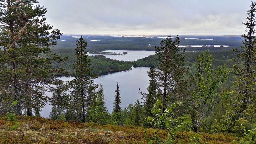 fot. Michał Przybysz fot. Michał Przybysz