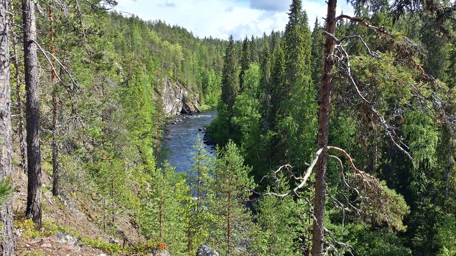 fot. Michał Przybysz fot. Michał Przybysz