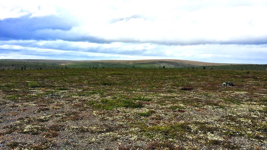 fot. Michał Przybysz fot. Michał Przybysz