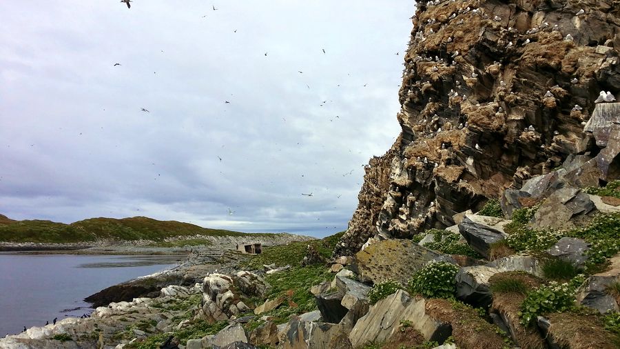 fot. Michał Przybysz fot. Michał Przybysz
