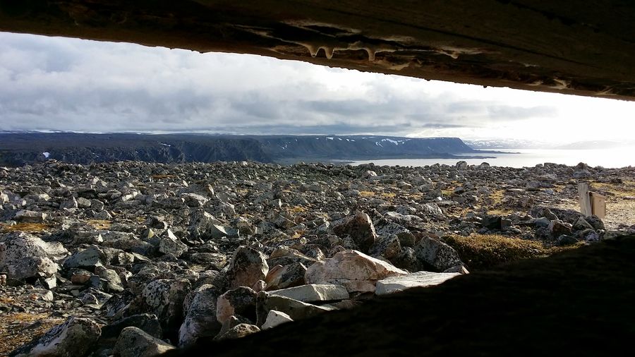 fot. Michał Przybysz fot. Michał Przybysz