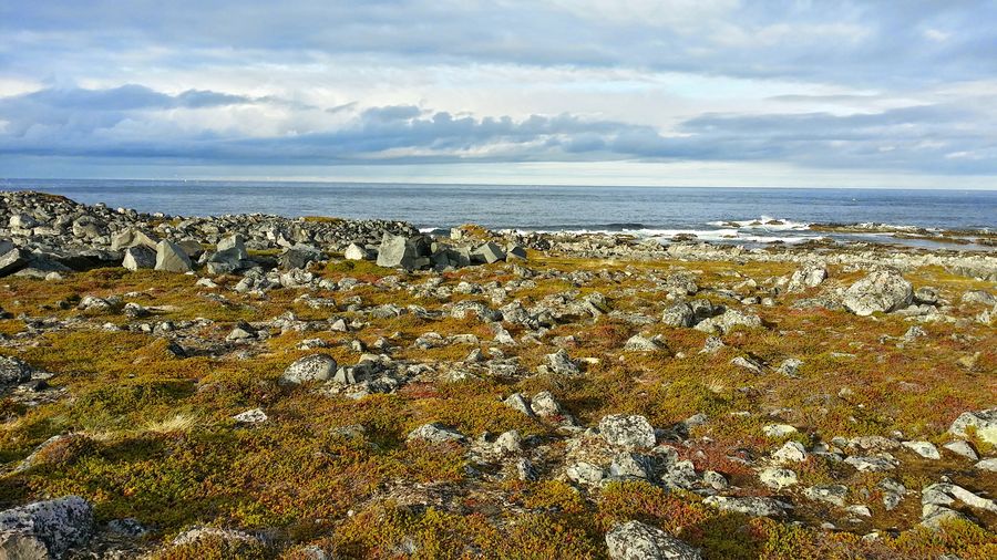 fot. Michał Przybysz fot. Michał Przybysz