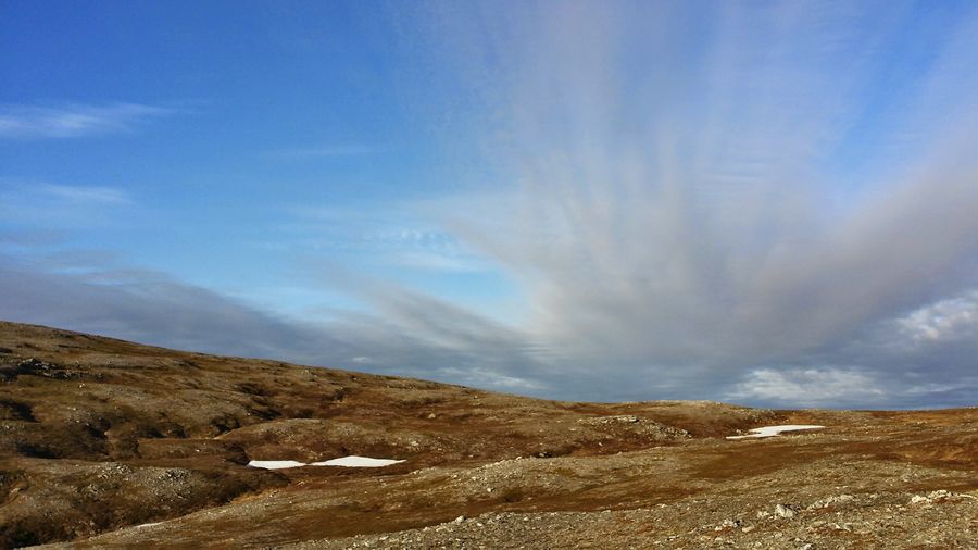 fot. Michał Przybysz fot. Michał Przybysz