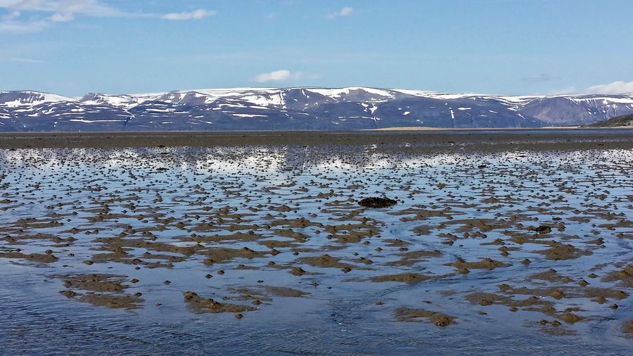 fot. Michał Przybysz fot. Michał Przybysz