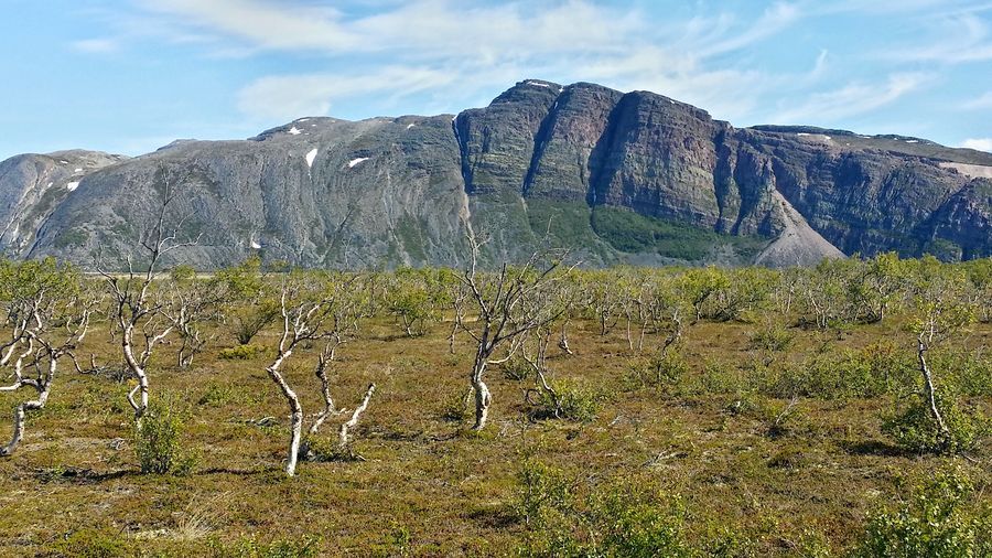 fot. Michał Przybysz fot. Michał Przybysz