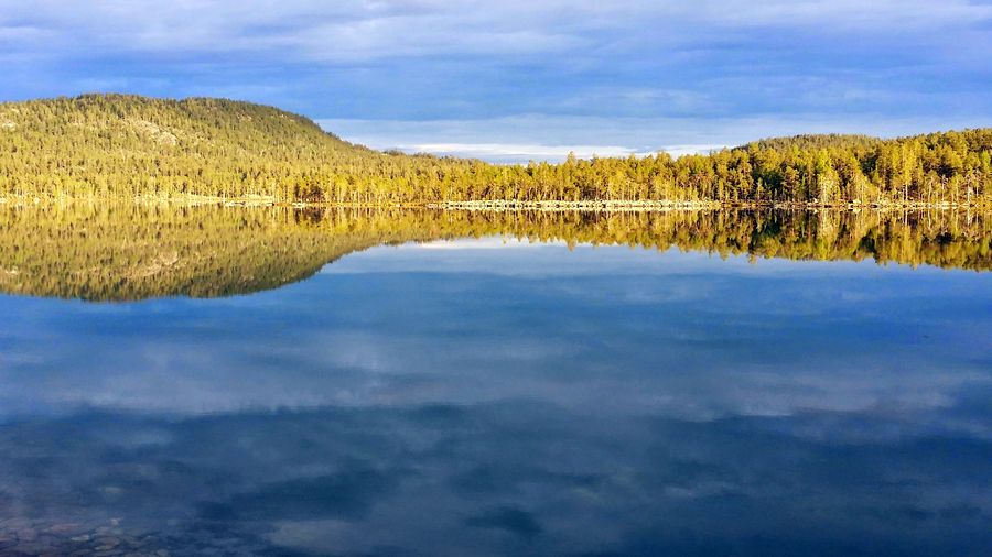 fot. Michał Przybysz fot. Michał Przybysz