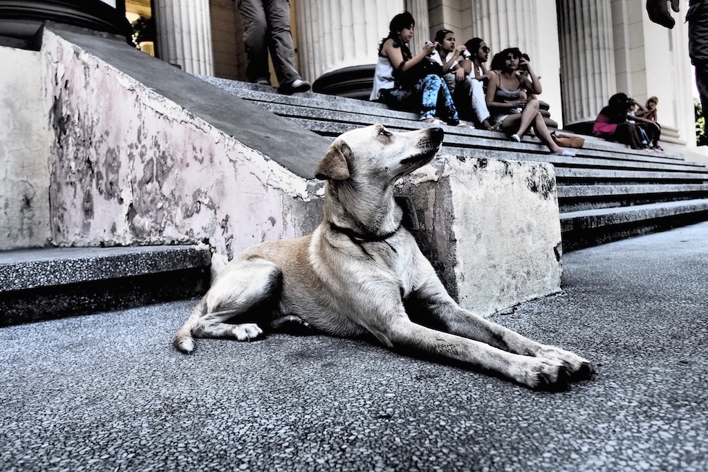 fot. Przemek Kunysz fot. Przemek Kunysz