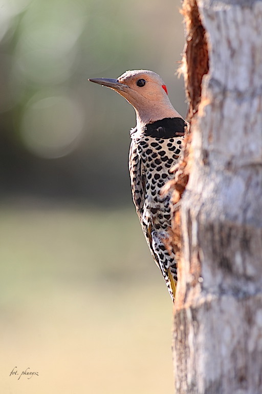fot. Przemek Kunysz fot. Przemek Kunysz