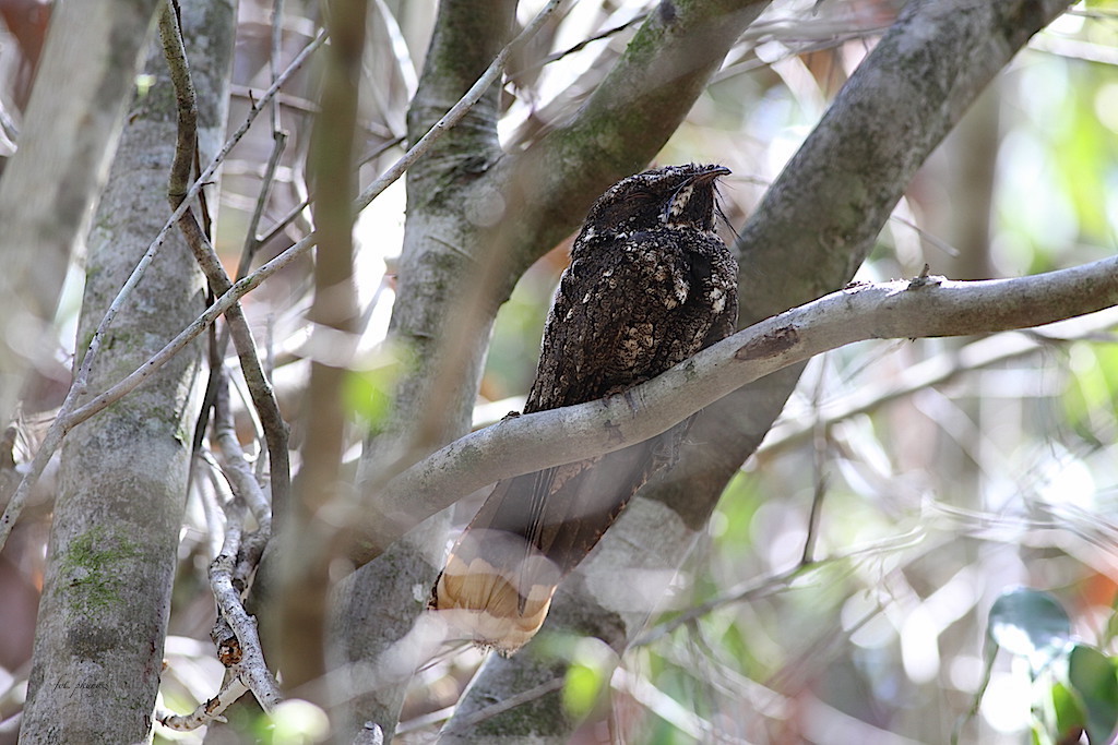 fot. Przemek Kunysz fot. Przemek Kunysz