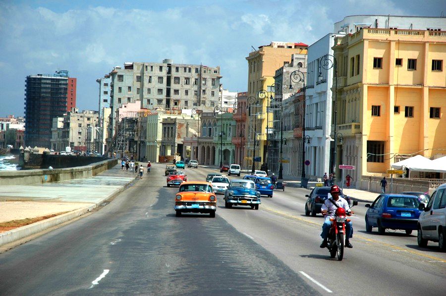 fot. Marta Podleśna fot. Marta Podleśna