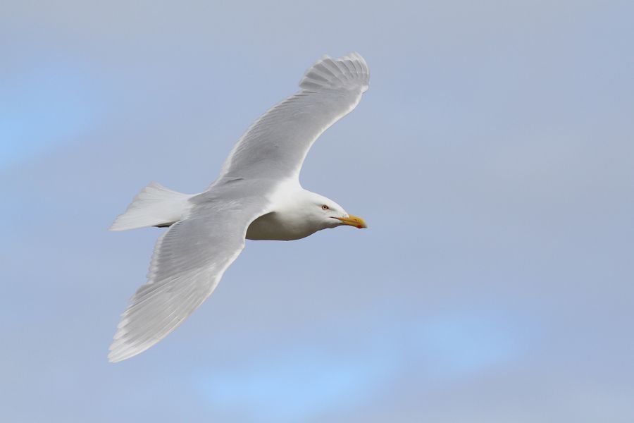 fot. Michał Kucharski