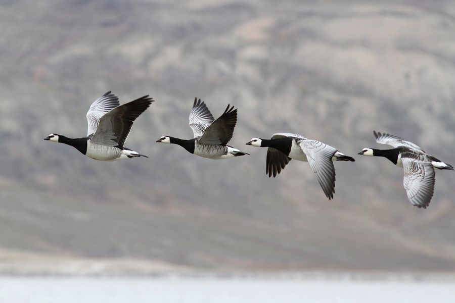 fot. Michał Kucharski