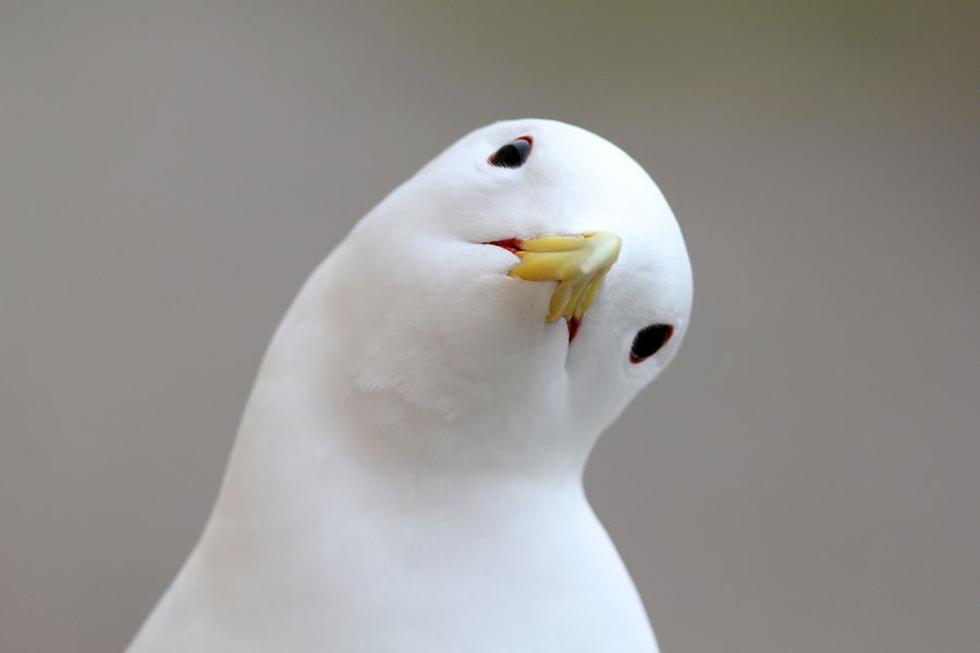 fot. Michał Kucharski