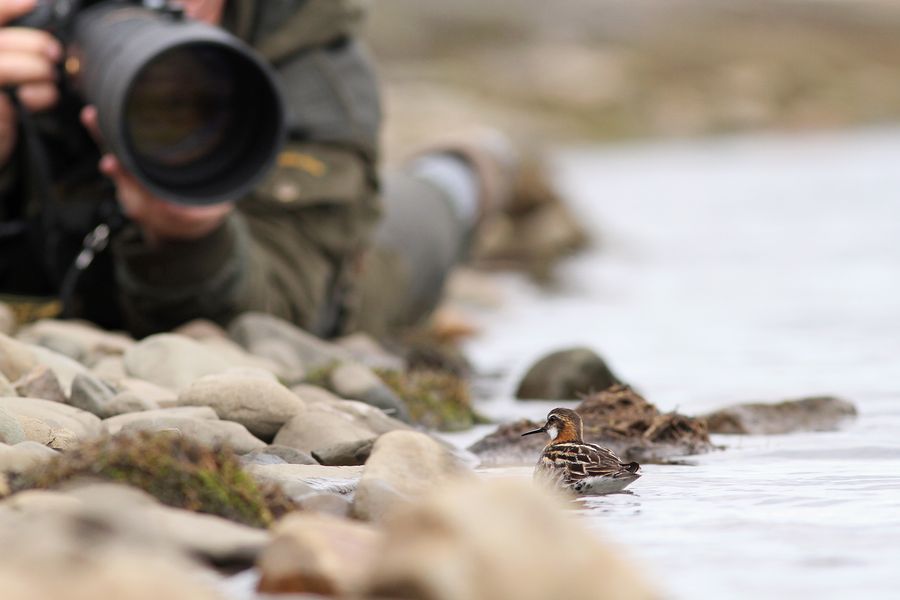fot. Michał Kucharski