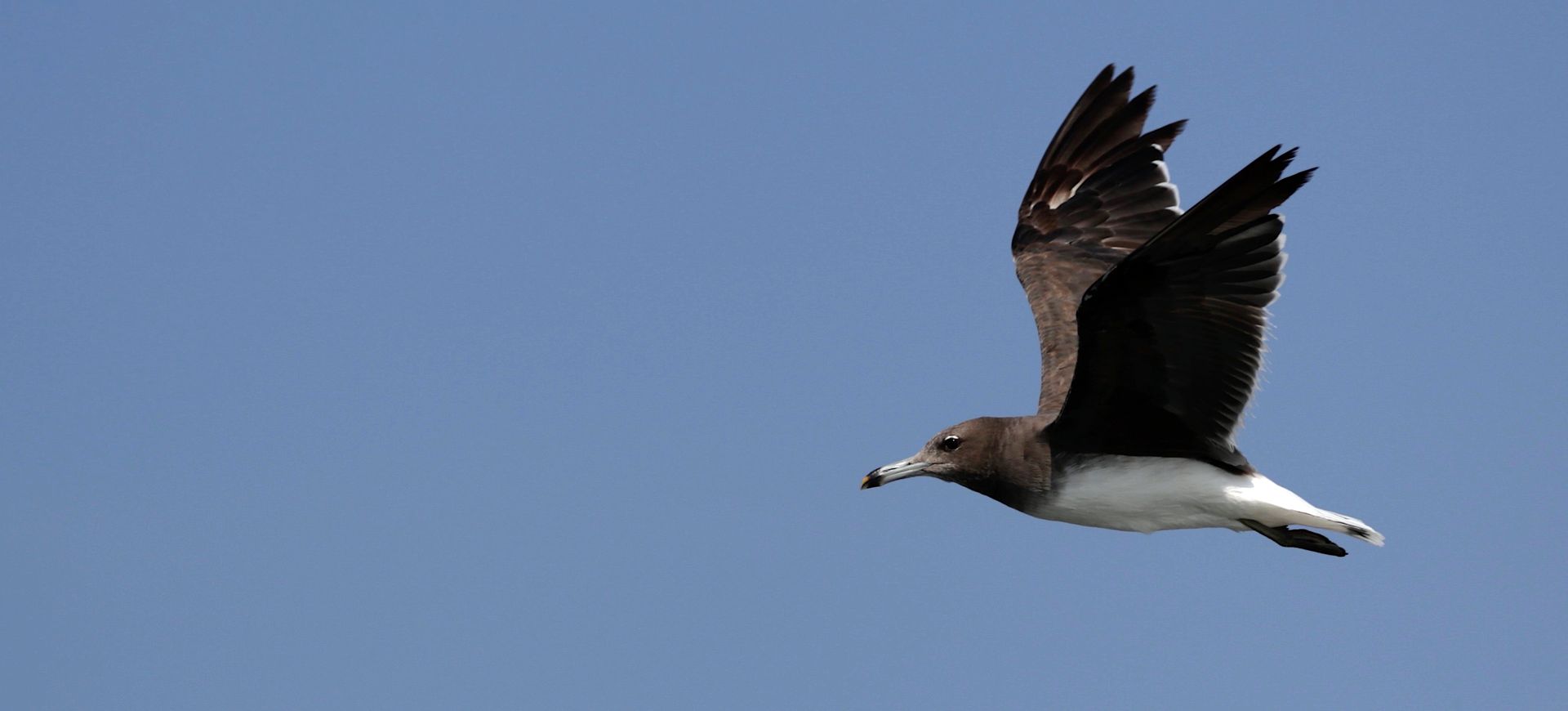 Oman - pustynie, góry i Ocean Indyjski