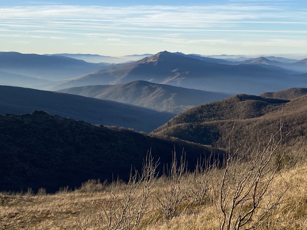 Weekend z ptakami - Bieszczady