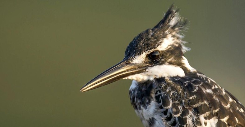 Przyroda środkowej Anatolii