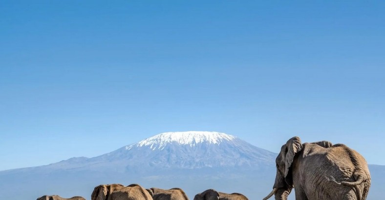 Tanzania - komfortowe safari