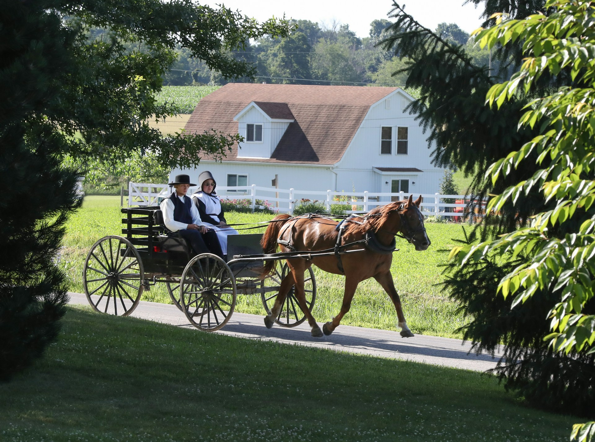Amisze w Stanach Zjednoczonych
